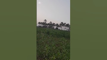 وُجُوهٌ يَوْمَئِذٍ نَّاضِرَةٌ (22) إِلَىٰ رَبِّهَا نَاظِرَةٌ (23) سوره القيامه