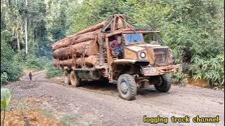 lori balak  [ santaiwong  logging trucks Malaysia ] truck santaiwong pahang
