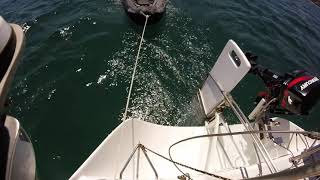 chiquiqui 8 - Sonata sailing Port Phillip by Artys post 172 views 3 years ago 2 minutes, 27 seconds