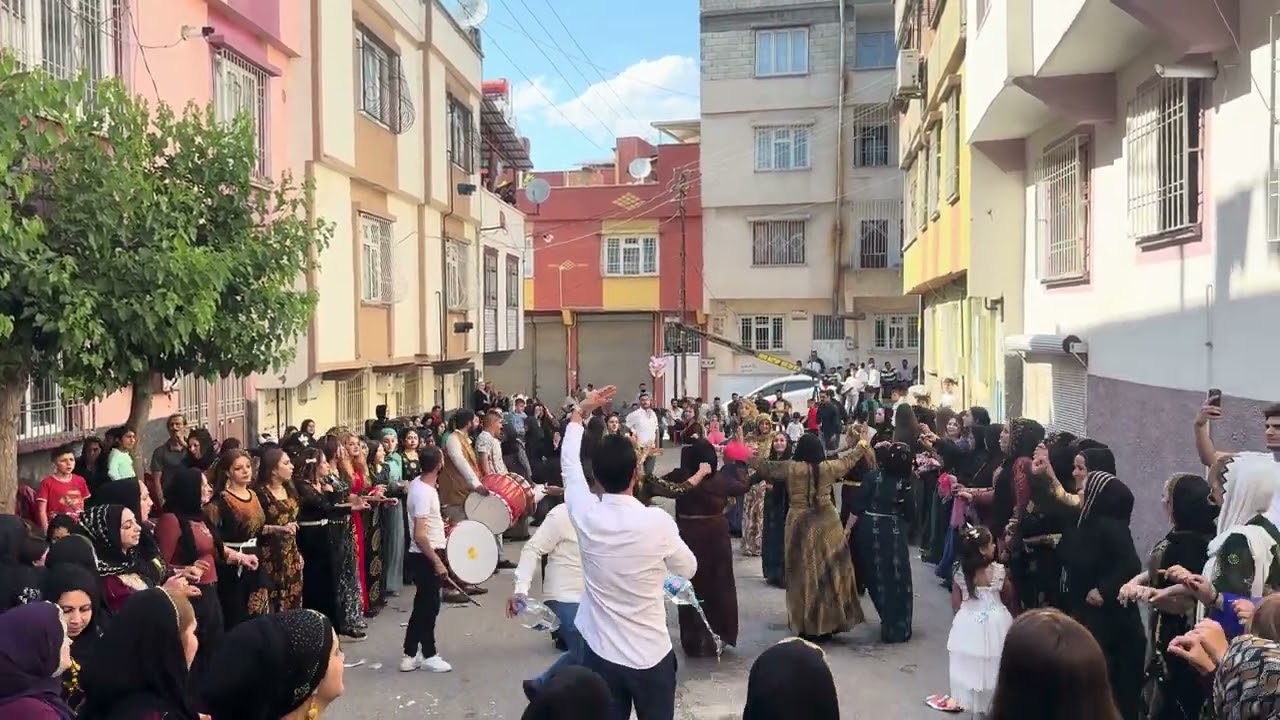 Batarist Cahit ekibi Dom aşiret düğünü