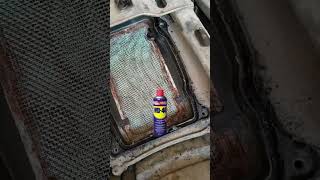 Honda hornet air filter rusting problem solved #hondahornet160r #bike #trending #shorts