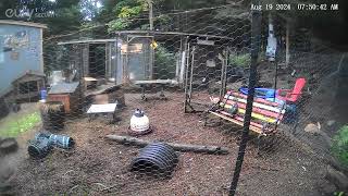 Download Lagu First cool morning since the heat wave \u0026 everybody is full of energy to start their Monday... MP3