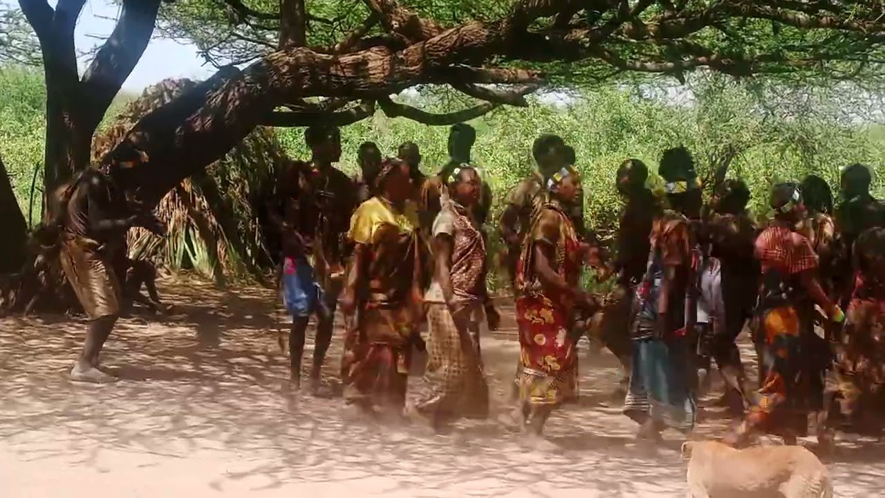Bushmen dance@hadzabe tribe Tanzania 
