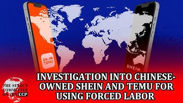Congress Launches Investigation into SHEIN and TEMU Using Slave Labor