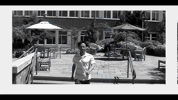 Algorithm 2 Output Video Flow Visualization