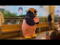 ぴっころちゃんねる　大宮マルイ篇