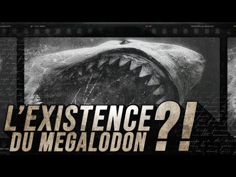 Vidéo: Megalodon Pourrait-il être Encore En Vie? - Vue Alternative