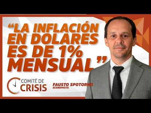 "La pandemia es el problema más leve de Argentina" - Fausto Spotorno - Comité de Crisis