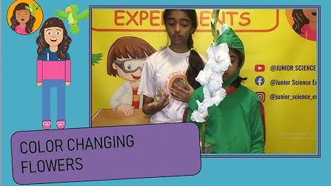Color Changing Flowers | JUNIOR SCIENCE EXPERIMENTS