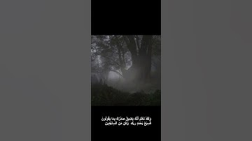 🤍⭐ #قرآن #عبدالباسط_عبدالصمد #عبدالرحمن_مسعد #سورة_الحجر #طبيعة