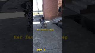 Daily She Enjoy To Go Daycare, Meet Her Friends