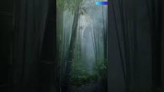 Tom cruise  movies The Last samurai  Edit