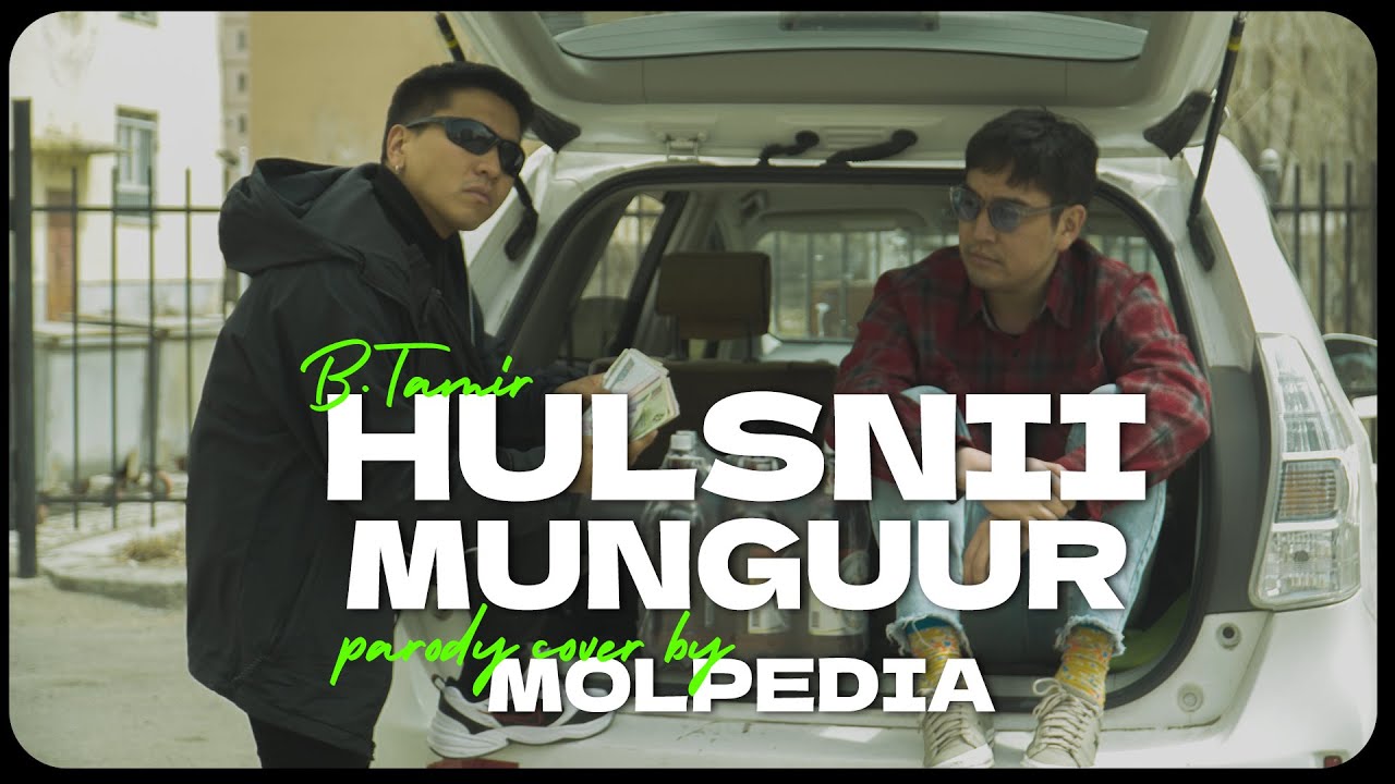 B.Tamir - Hulsnii munguur (Parody cover by Molpedia)