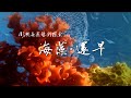 「海藻。還早」- 澎湖海藻藝術探索系列(寓言式詩歌篇)