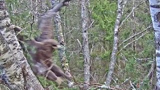 2017 04 11 09H34M45S Tõnn, Slow X4