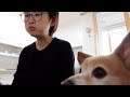 [ENG/日本語] 부산에 갔다온 일상 브이로그