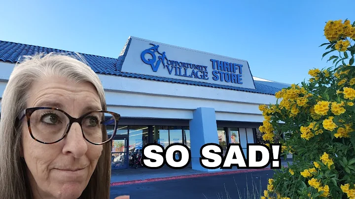 THIS FIND MADE ME SO SAD - Thrift With Me at Opportunity Village