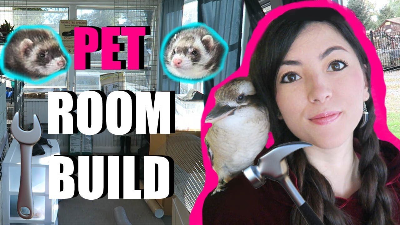 BUILD A Pet Room With Me!! | Epic DIY | Building My Animal Studio (Pet Room)