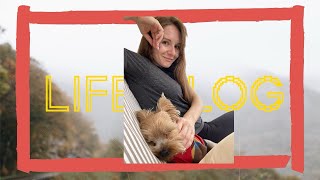 ‼️Пробую новые рецепты‼️Вся неделя с животными‼️В гости к родителям‼️