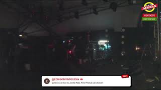 Festival del Olimar 2026 en vivo por Mega screenshot 4