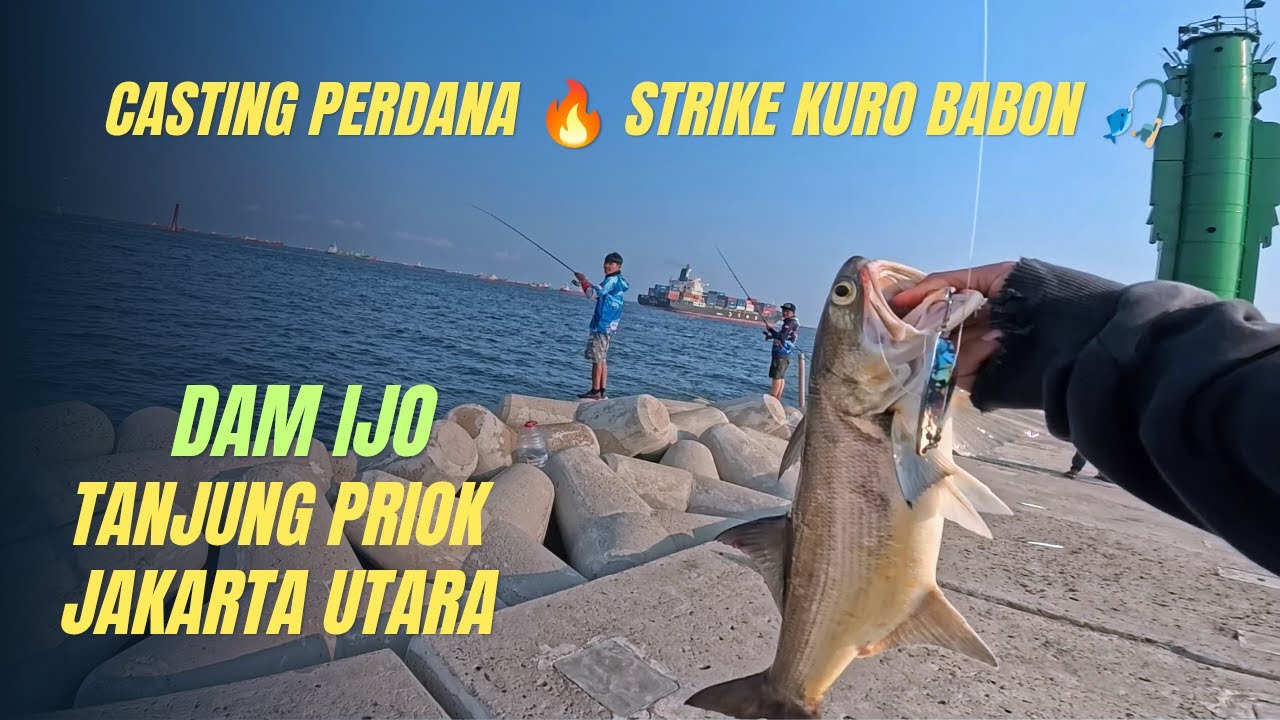 🎣 Casting Perdana Dapat Ikan KURO Babon! | Mancing Dam Ijo Tanjung Priok Jakarta Utara