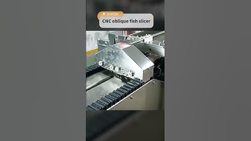 Fish fillet slicer machine for Pangasius