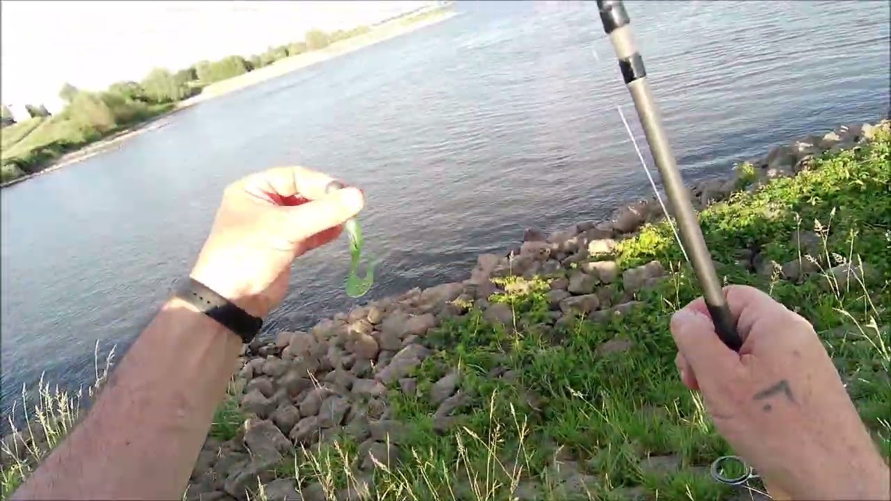 Рыбалка в Голландии  отдых Судачок Лещи