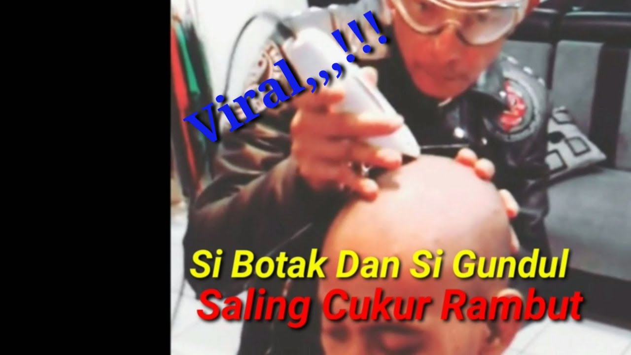 Viral  Potong  Rambut  Botak Si Botak dan Si Gundul  