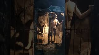 Download Lagu SEJARAH Goa Jepang #goa #penjajahan #jamandulu MP3