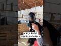 Keçi sınıflandırması 🐐 #shorts #keçi #oğlak #et #kasap #tarif #youtubeshorts #yemek #mutfak