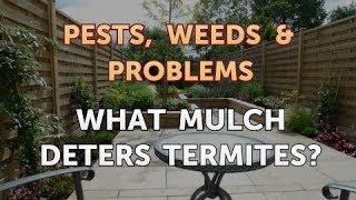 What Mulch Deters Termites?