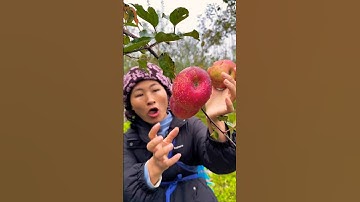 Red Apple and so many tasty fruits🍓🍉🍒🍎#fruit #nature #garden #gardening #vegetables