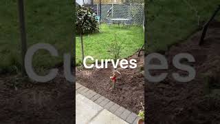 Garden border ideas