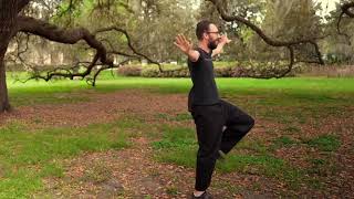 Tai Chi Balance Training and Gentle Self Massage with Andrew Hix
