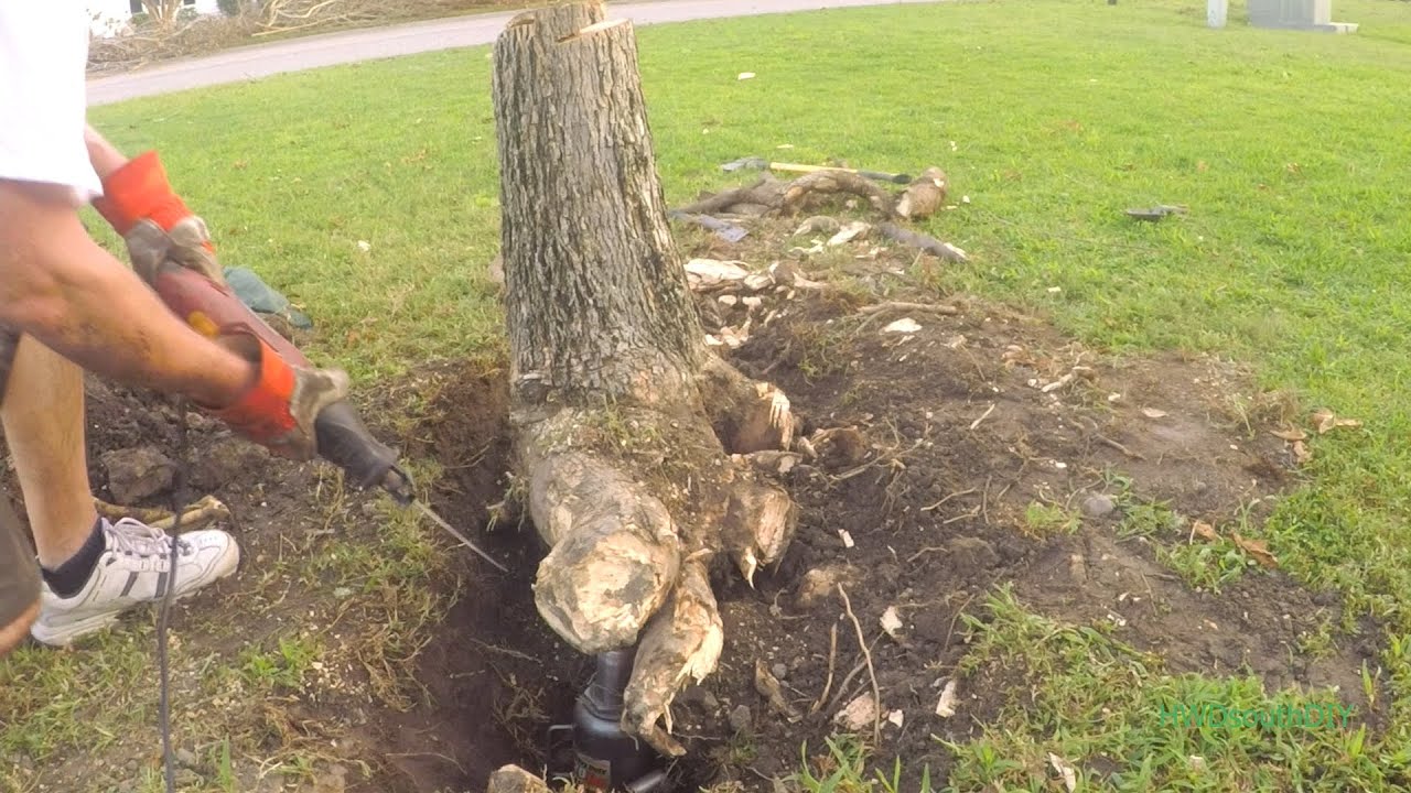 Stump Removal By Hand And 20 Ton Hydraulic Jack Youtube