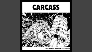 Download Lagu Foeticide MP3