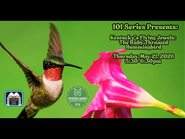 101 Series: Kentucky's Flying Jewels: The Ruby Throated