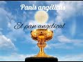 Panis angelicus / Pan angelical - Canto gregoriano ( Con letra en latin y español )