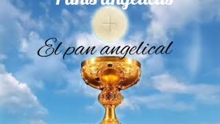 Panis angelicus / Pan angelical - Canto gregoriano ( Con letra en latin y español )