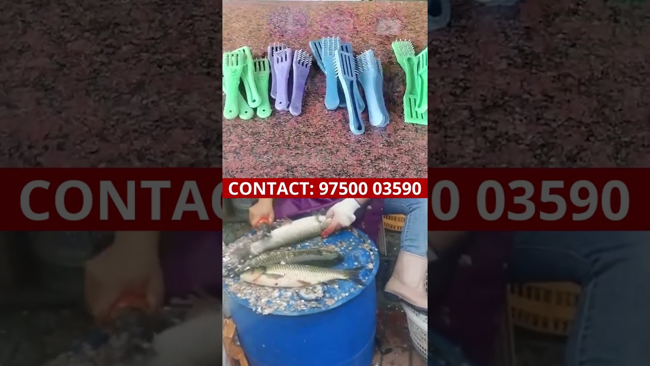 Fish Scale Remover Peeler Fish Scaler🐟🦈