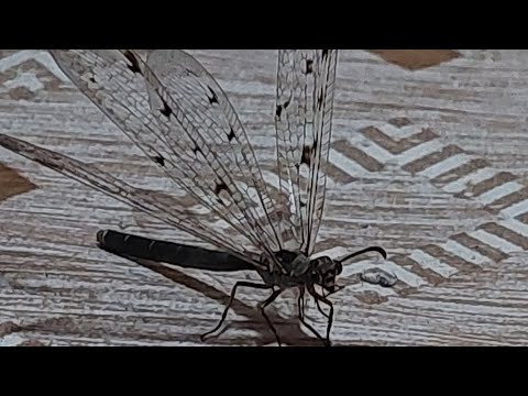 Krapje LonjskoPolje Croatia Unesko world heritage EkoEtno village  me on a bike