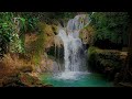 Fall Asleep Instantly With Waterfall Meditation Rainforest Meditation with Flowing River .