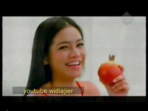 Iklan trans TV dan termehekmehek Happy Family 2009