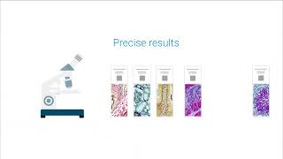 Easy and Efficient Special Stains