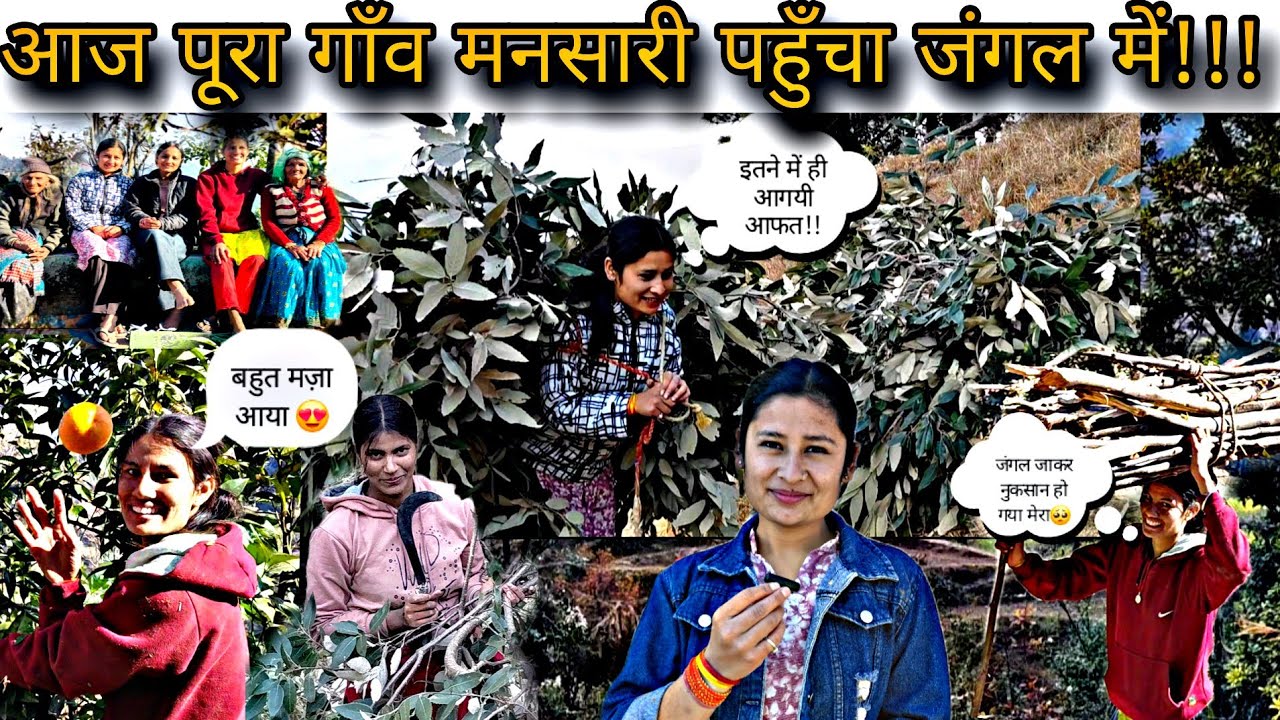 आज मुझे मिले खास लोग।।😍💗 मनसारी गाँव में आजकल खुला बाँज।। सभी लोग दिख रहे हैं जंगलों में।।