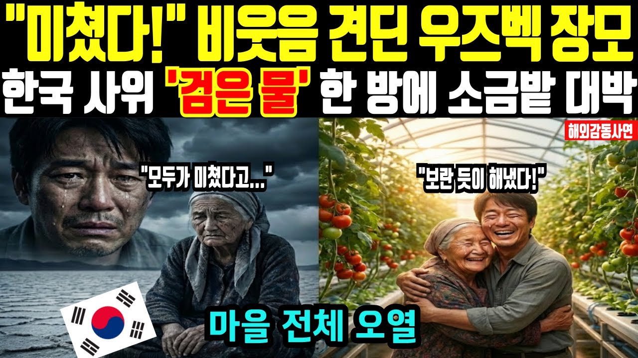 [해외감동사연] 