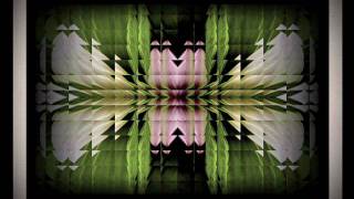 Aural Float - Zwei G