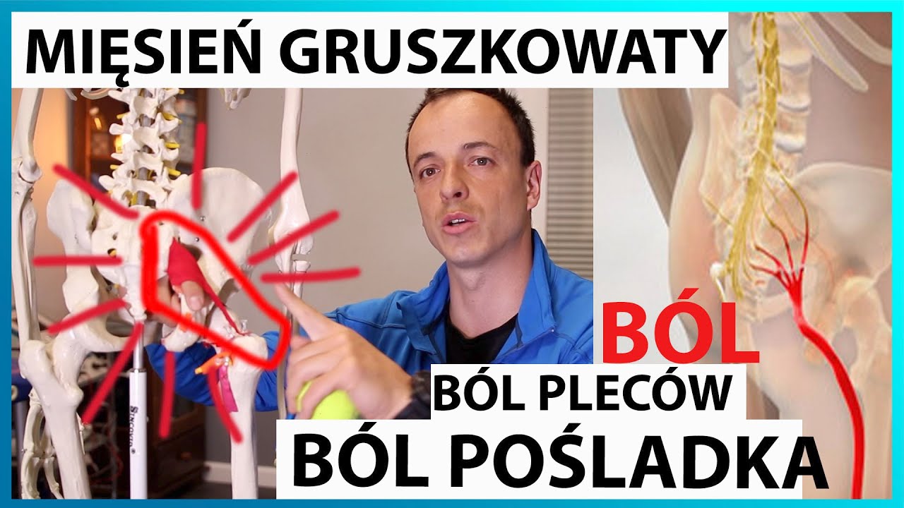 Jak pozbyć się bólu pośladka? mięsień gruszkowaty ćwiczenia PSEUDO RWA KULSZOWA-Gruszkowa?