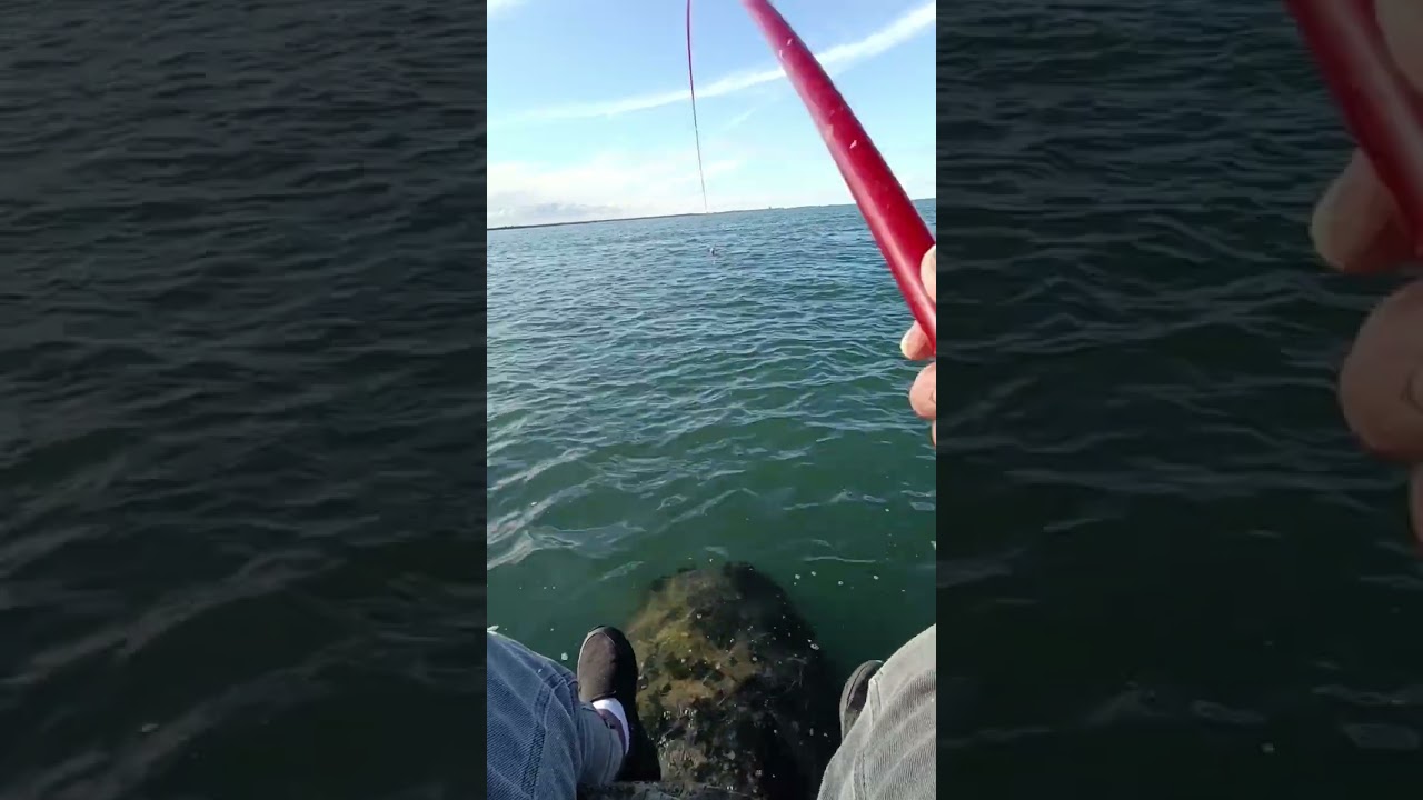 مساء الخيرات 🤍❤️ 