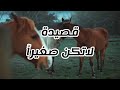 حسين اليحيى لا تكن صغيرا 